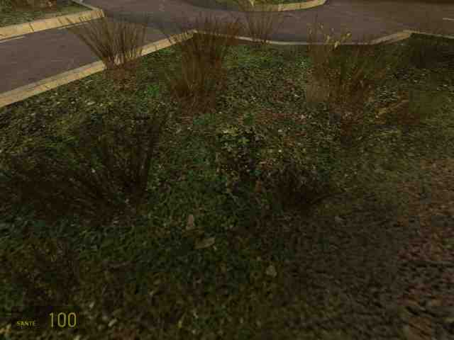 herbes_HL2.jpg