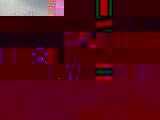 de_monach10039.jpg : 313 :  32.3 