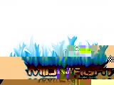 Midnight-Fire3.jpg : 308 :  241.8 
