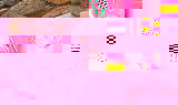 nnn.jpg : 229 :  175.3 
