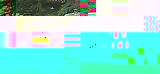 autowp.ru.jpg : 142 :  186.1 