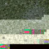 01.jpg : 269 :  110.2 