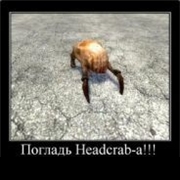 Аватара для Headcrab (Rus)