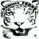   Saamec