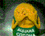   orcan